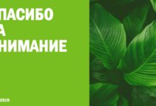 Photo of Пути повышения лояльности сотрудников