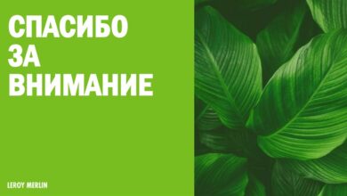 Photo of Пути повышения лояльности сотрудников